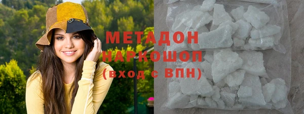 индика Алексин