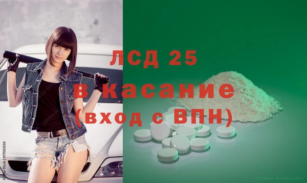 индика Алексин