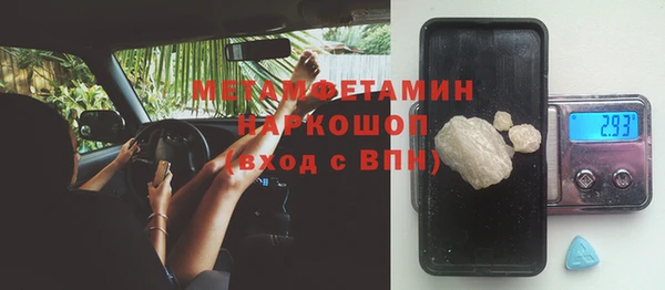 индика Алексин