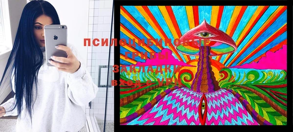 индика Алексин