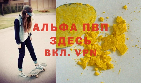 индика Алексин