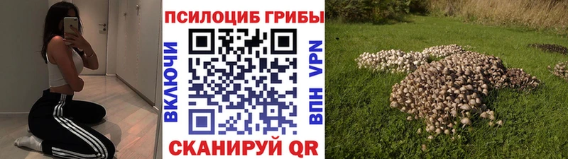 купить наркотик  Благовещенск  Псилоцибиновые грибы Magic Shrooms 