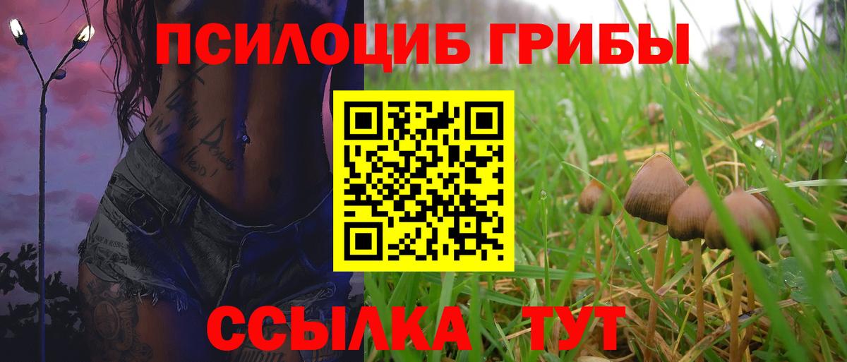 Псилоцибиновые грибы GOLDEN TEACHER Благовещенск