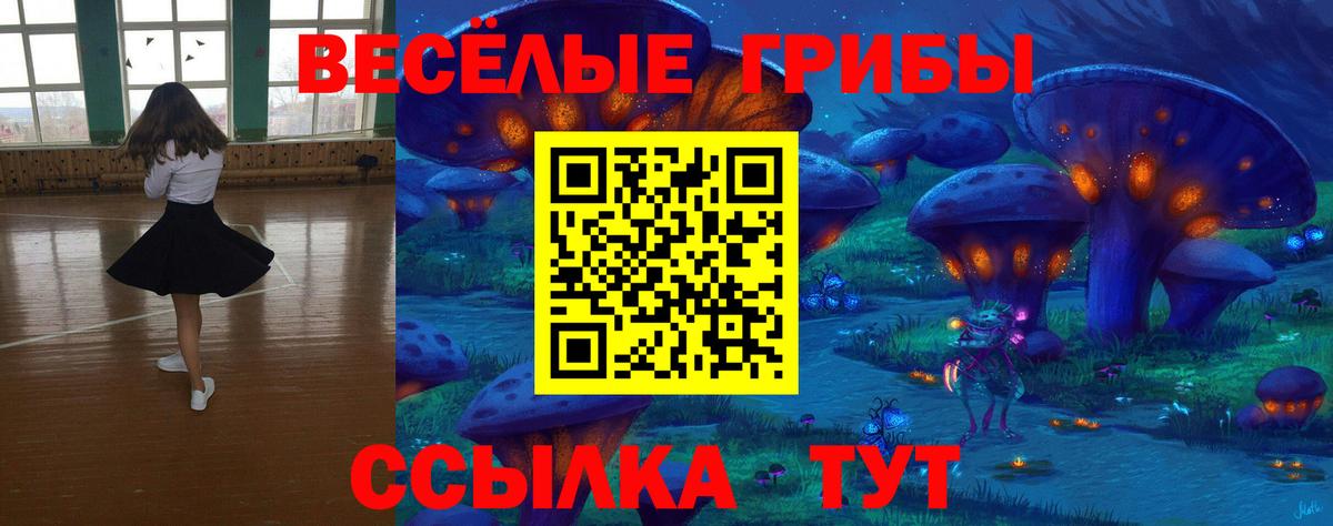 Благовещенск  цена наркотик  Вход с VPN  Псилоцибиновые грибы мицелий 